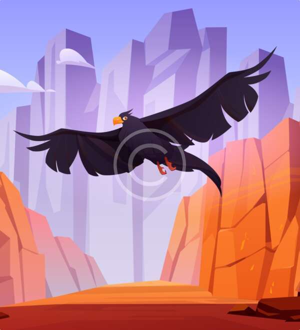Águila en el cielo